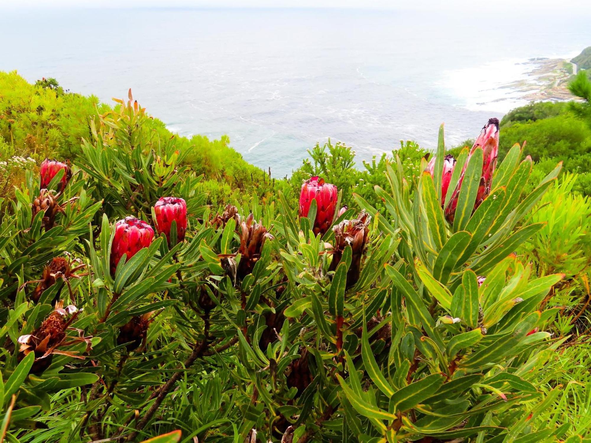 Misty Mountain Reserve Stormsrivier Esterno foto